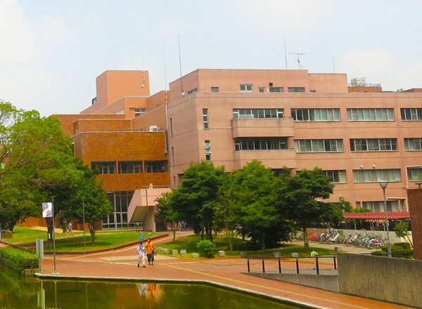 大学
