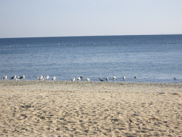 海岸散歩デート